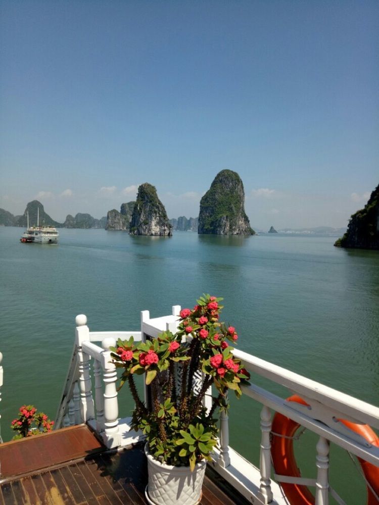 Halong Lavender Cruises Hotel Ha Long Bagian luar foto